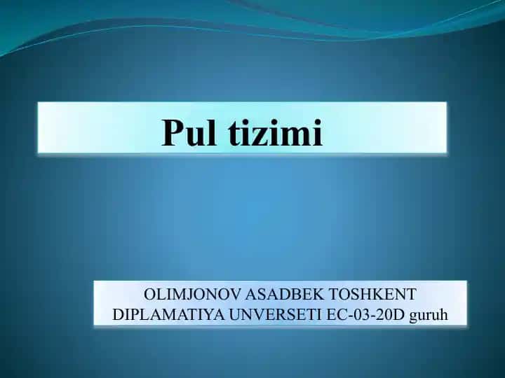 Pul tizimi