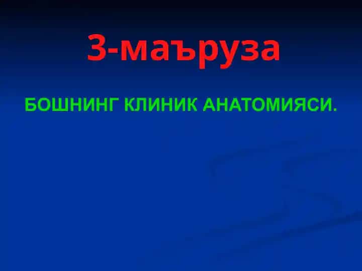 Bo'shning Klinik Anatomiysi