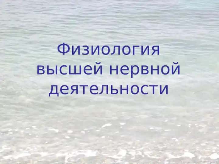 Физиология высшей нервной деятельности
