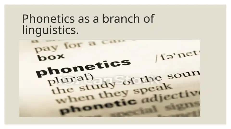 Phonetics as a branch of linguistics