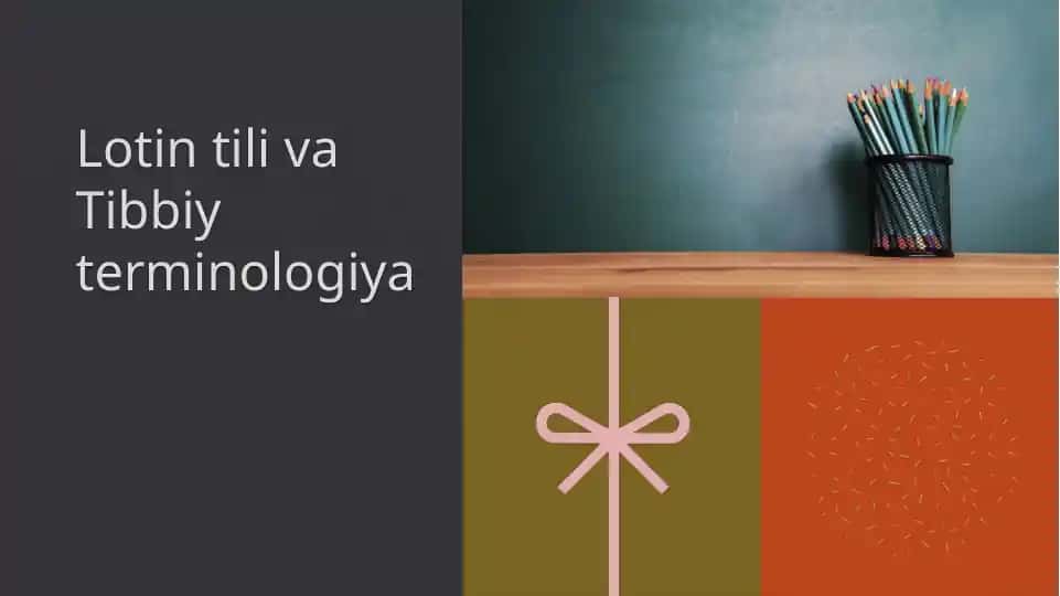Ot va uning grammatik kategoriyalari