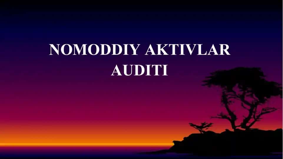 NOMODDIY AKTIVLAR AUDITI