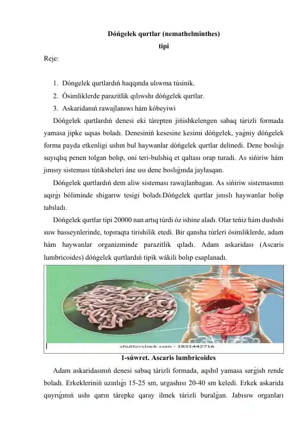Dóńgelek qurtlar (nemathelminthes)