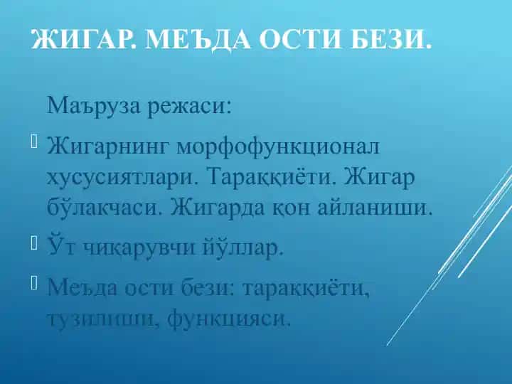 Жигар. Меъда ости бези.