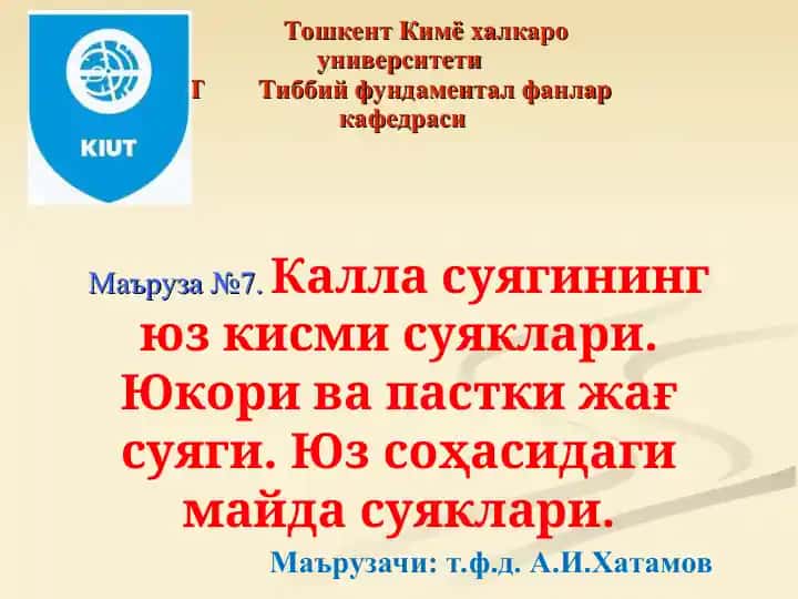 Kalla suyagini yuz kismlari suyaklari