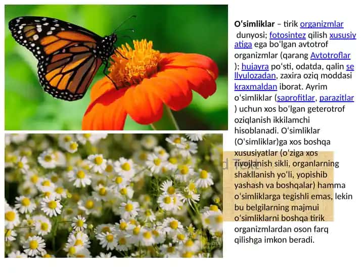 Oʻsimliklar–tirikorganizmlardunyosi