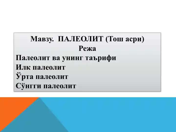 Палеолит (Тош асри)
