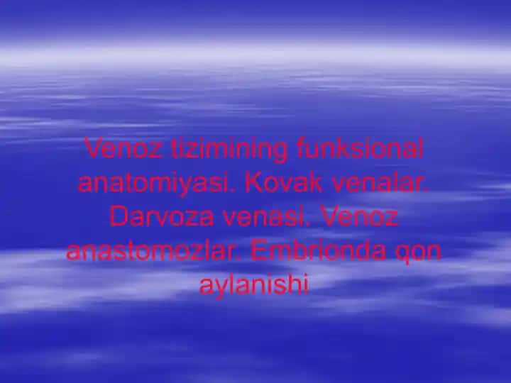 Venoz tizimining funksional anatomiyasi