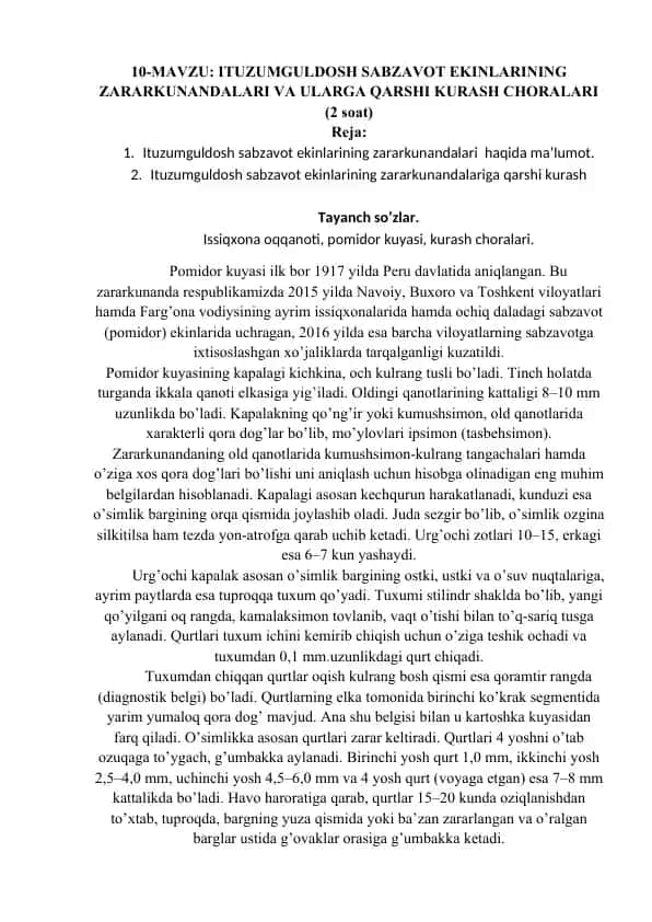 Pomidor kuyasi