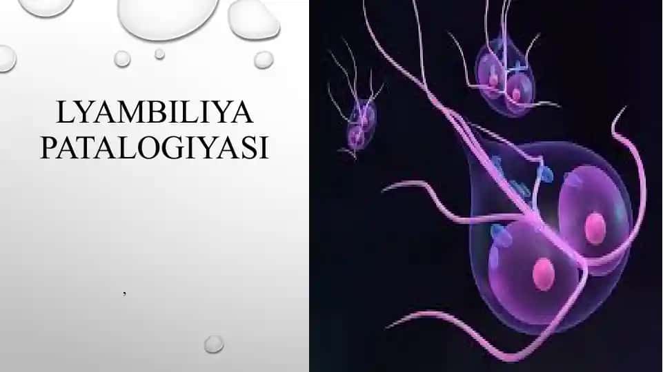 Lyambiliya patalogiyasi