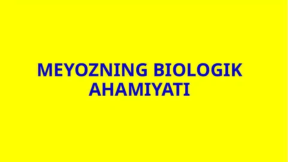 Meyozning biologik ahamiyati