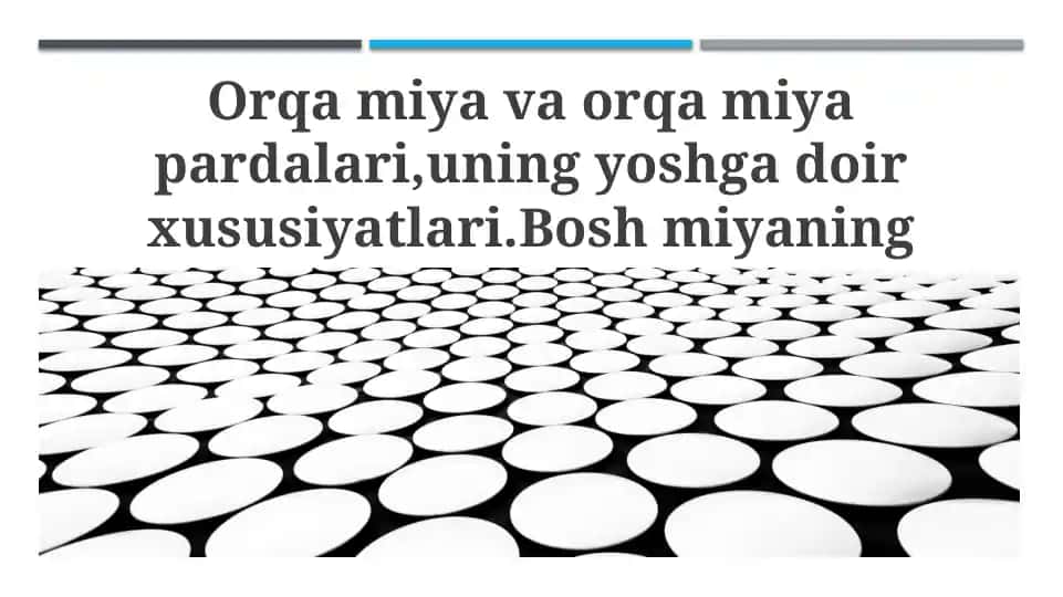 Orqa miya va miya pardalari