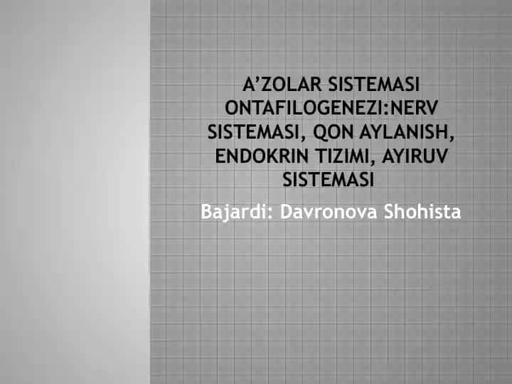 Nervsistemasi