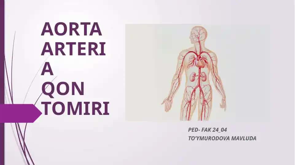 AORTA ARTERIAQON TOMIRI