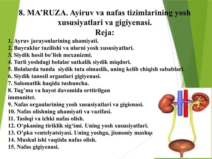 Ayiruv va nafas tizimlarining yosh xususiyatlari va gigiyenasi