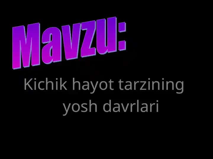 Kichik hayot tarzining yosh davrlari