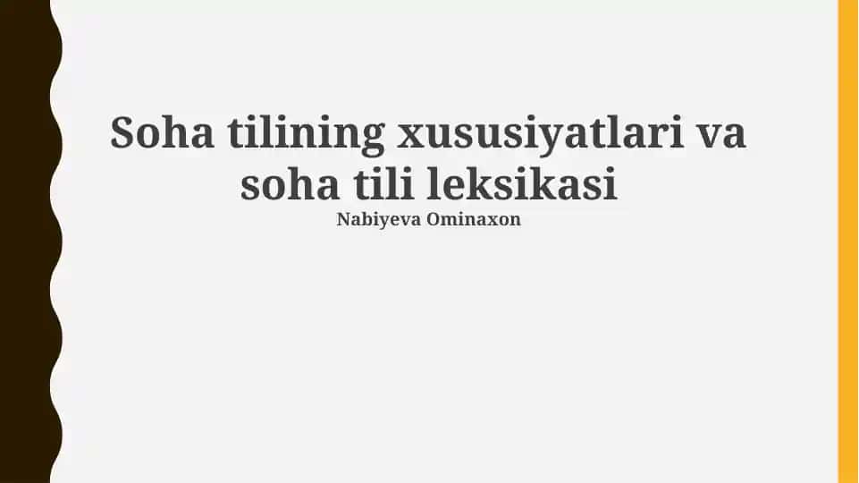 Domenga xos til leksikoni va uning xususiyatlari