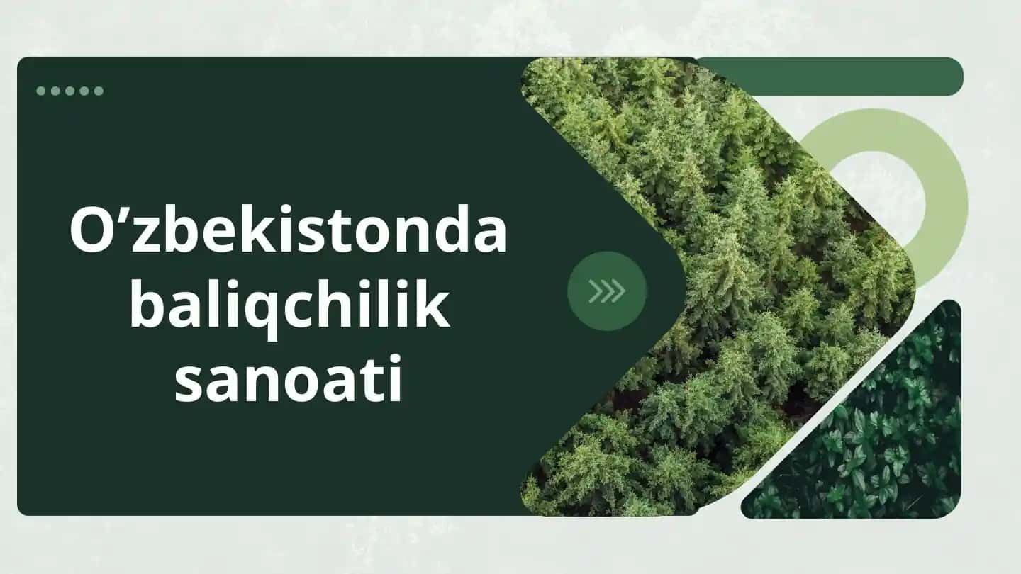 O’zbekiston dabaliqchilik sanoati