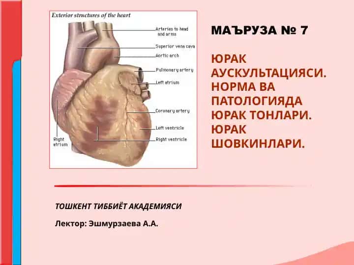 Yurak auskultatsiyasi. Norma va patologiyada yurak tonlari. Yurak shovkinlari