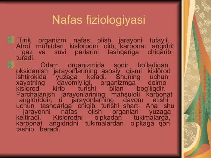Nafas fiziologiyasi