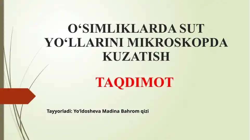 O‘SIMLIKLARDA SUT YO‘LLARINI MIKROSKOPDA KUZATISH