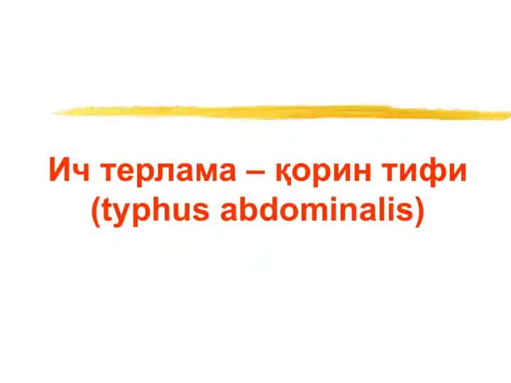 Ичтерлама–қорин тифи (typhus abdominalis)