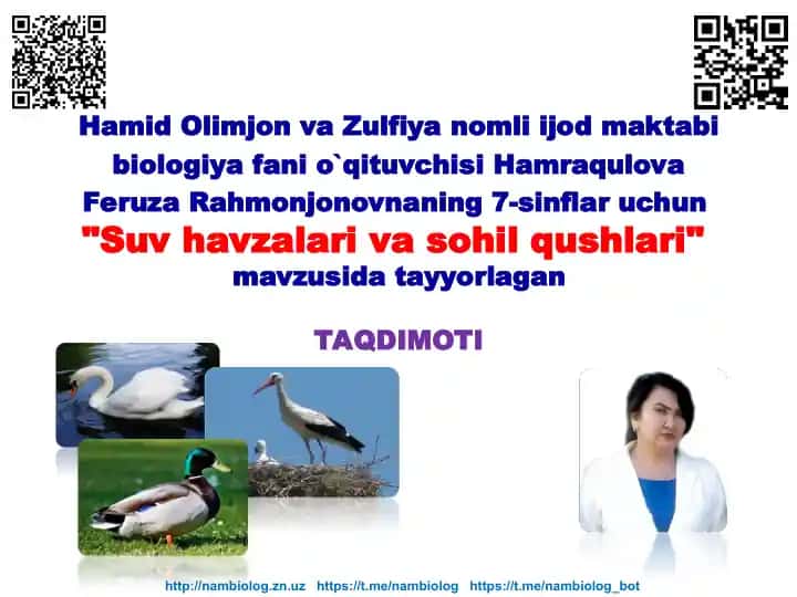 "Suv havzalari va sohil qushlari"