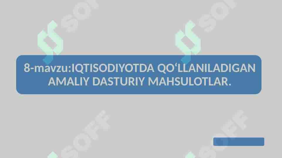 IQTISODIYOTDA QO‘LLANILADIGAN AMALIY DASTURIY MAHSULOTLAR.