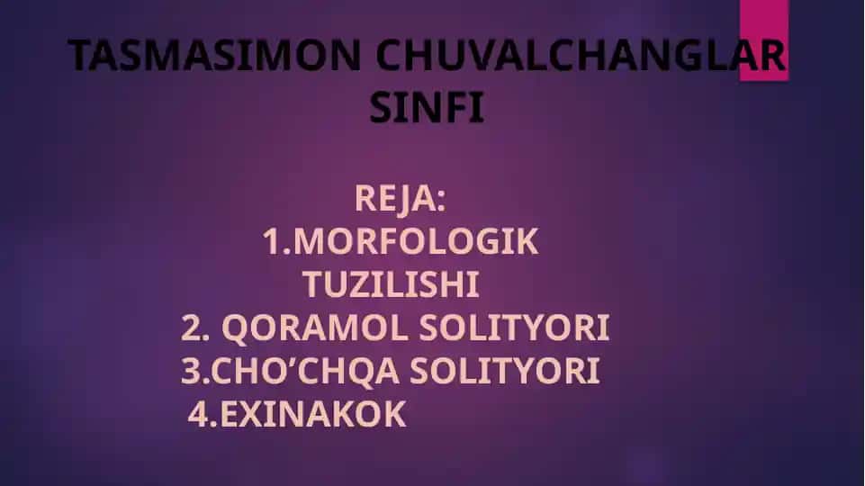 Tasmasimon chuvalchanglar sinfi