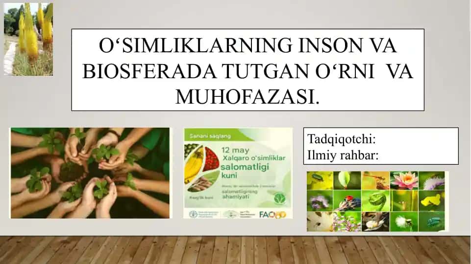 OʻSIMLIKLARNING INSON VA BIOSFERADA TUTGAN OʻRNI VA MUHOFAZASI