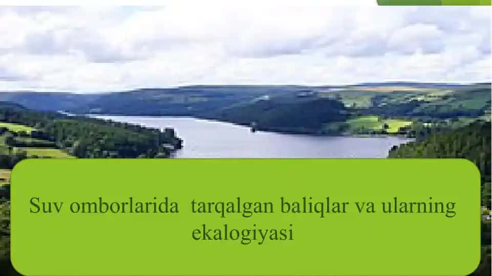 Suvomborlaridatarqalganbaliqlar va ularning ekalogiyasi