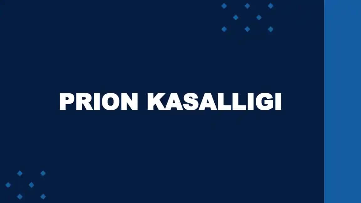 Prion kasalligi