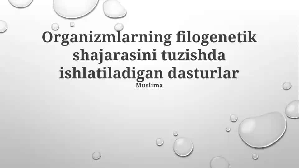Organizmlarning filogenetik shajarasini tuzishda ishlatiladigan dasturlar