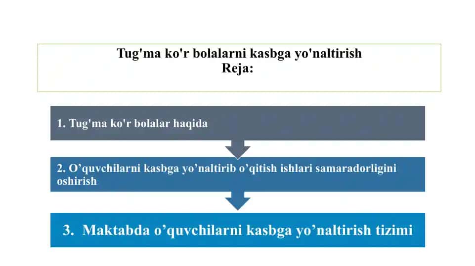 Tug'ma ko'r bolalarni kasbga yo'naltirish
