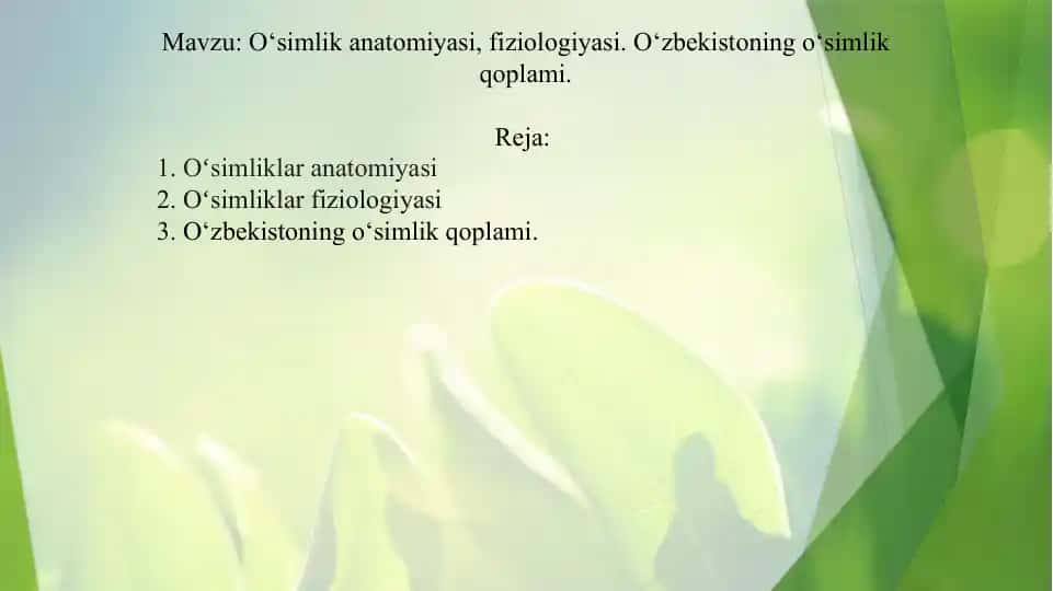 O‘simlik anatomiyasi, fiziologiyasi. O‘zbekistoning o‘simlik qoplami.