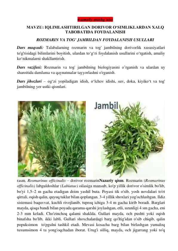 Rozmarin va Tog' Jambil
