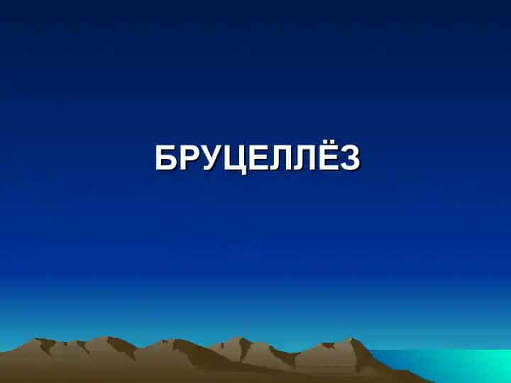 БРУЦЕЛЛЁЗ