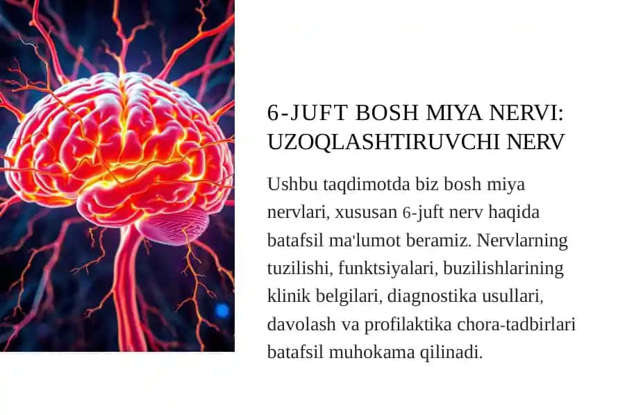 Rivojlanish, ijtimoiylashuvi va tarbiya