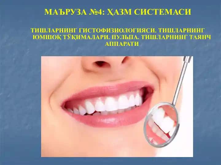 Тишларнинг гистофизиологияси