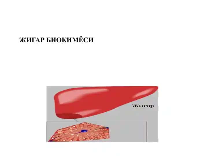 ЖИГАР БИОКИМЁСИ