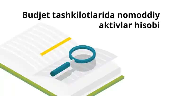 Budjet tashkilotlarida nomoddiy aktivlar hisobi