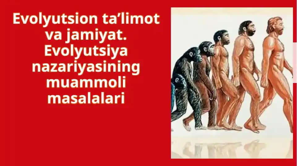 Turlarning kelib chiqishi