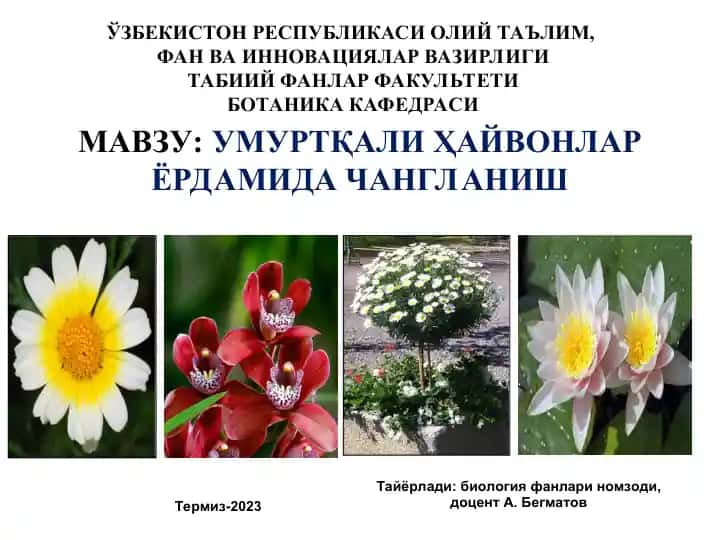 Умуртқали Ҳайвонлар Ёрдамида Чангланиш