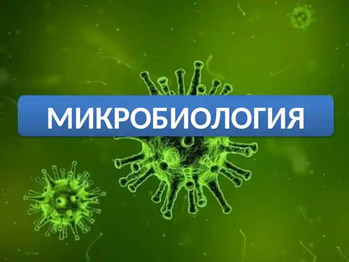 MIKROBIOLOGIYA