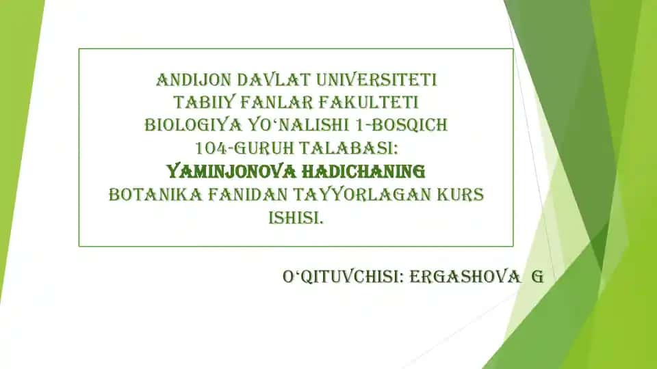O‘simlik to‘qimalari va meristema