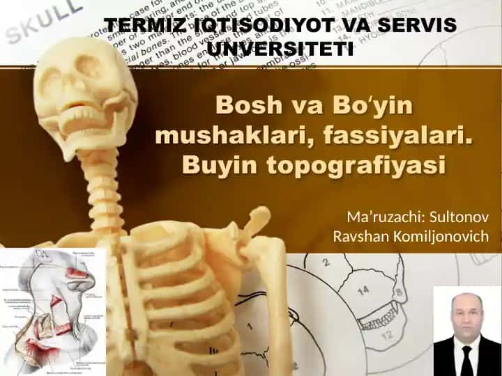 Bosh va Boʻyin mushaklari, fassiyalari. Buyin topografiyasi