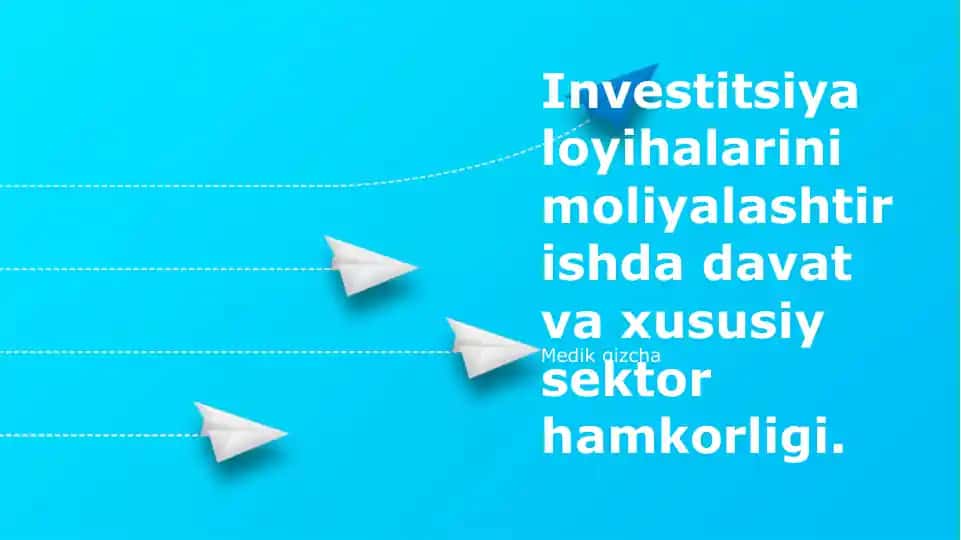 Investitsiya loyihalarini moliyalashtirishda davlat va xususiy sektor hamkorligi