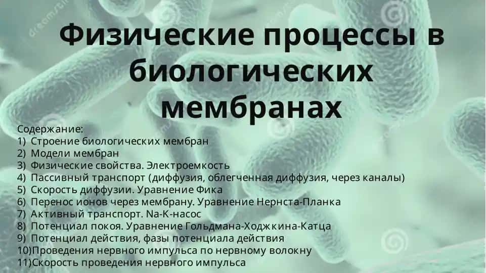 Физические процессы в биологических
мембранах
