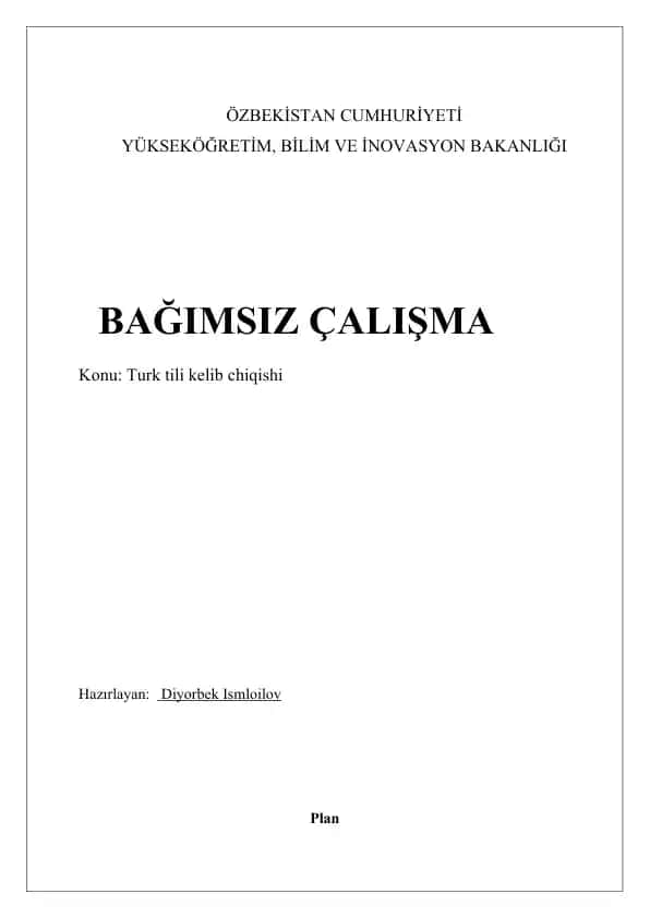 Türk tili kelib chiqishi