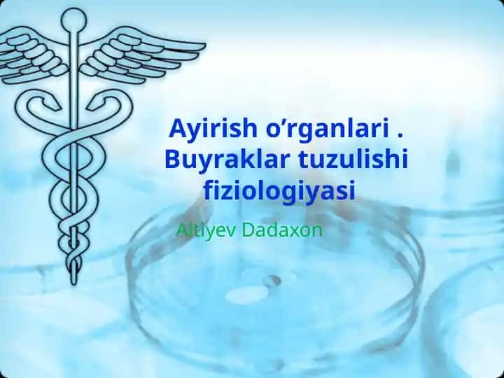 Ayirisho’rganlari. Buyraklar tuzulishi fiziologiyasi
